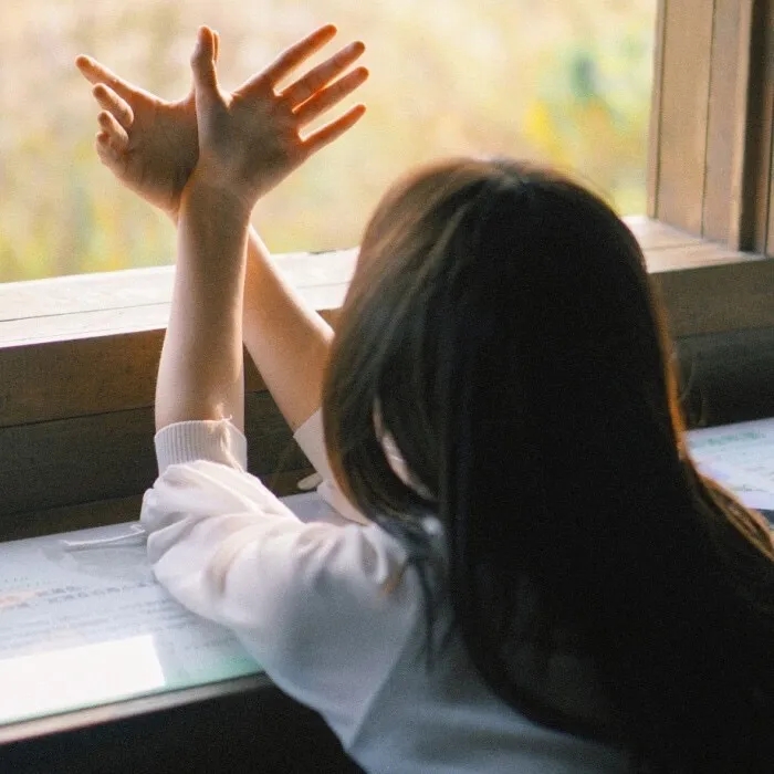 扬尼斯：传奇之旅